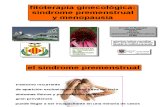 Fitoterapia Ginecologica Mujeres