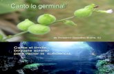 01Canto lo germinal (música)