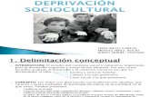 Deprivación SocioculturalPP