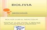 Bolivia -Trabajo Final de Josefina, Paz, Felipe y Martín-Colegio Lincoln