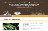 Estudio de las propiedades citotóxicas de Croton Discolor usando el bioensayo de letalidad en artemia salina