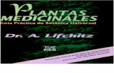 Plantas Medicinales Diccionario Lifchitz