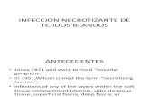 Infeccion Necrotizante de Tejidos Blandos