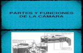 PARTES Y FUNCIONES DE LA CÁMARA