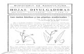 Las Malas Hierbas y Las Plantas Medicinales - 1941