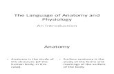 El Lenguaje de La Anatomia y Fisiologia