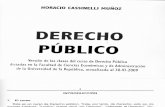 Derecho Publico Cassinelli Cap 1 a 4