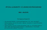 Poluanti Cancerigeni(Aer)[1]