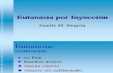 Profa. k. Dominguez Avet 110 Eutanasia_por_inyeccion_2002