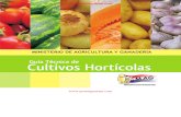 GUÍA TÉCNICA DE CULTIVOS HORTÍCOLAS - JUNIO 2012 - MINISTERIO DE AGRICULTURA Y GANADERÍA - PARAGUAY - PORTALGUARANI