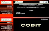 Cobit - Ricardo Castelo