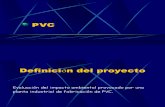Evaluacion Impacto Ambiental PVC
