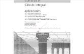 0a6cap 19 Calculo Integral, Aplicaciones