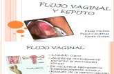 Flujo Vaginal y Esputo