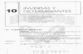 02xcap_10_inversas y Determinantes