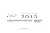 Álgebra Lineal- Aplicaciones con Voyage 200