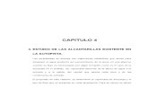 CAPITULO 4.-ALCANTARILLAS