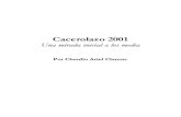 Cacerolazo 2001 - Una mirada inicial a los media