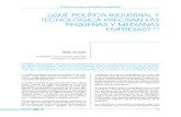 ¿Qué política industrial y tecnológica precisan las pequeñas y medianas empresas?(Es)/ Which industrial and technological policy require SMES´?(Spanish)/ Zein politika industrial