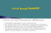 3-Ciclo Sexual Femenino