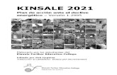 Kinsale 2021 - Plan de acción ante el declive energético - Versión 1.2005