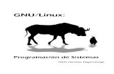 Programacion de Sistemas GNU/Linux