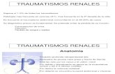 TRAUMATISMOS RENALES 2