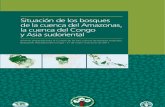 Situacion de los Bosques de La Cuenca Amazonas la cuenca del Congo y Asia sudoriental