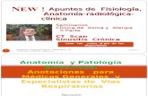 Apuntes de Radiología Rinosinusal  CT Scan  Sinusitis V parte