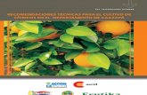 Recomendaciones Técnicas para el Cultivo de Cítricos en el Departamento de Caazapá - PortalGuarani