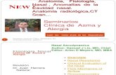 Fisiología Anomalías de La Cavidad Nasal, Radiología, CT  Scan
