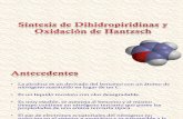 Síntesis+.. dihidropiridinas