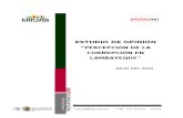 Informe de Estudio de Opinión Percepción sobre Corrupcion - Lambayeque 2010