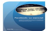 Facebook - Lo Esencial (Por Arturo Goga)