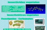 insecticidas vegetales