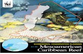 Planificación de Conservación Ecorregional del Arrecife Mesoamericano del Caribe