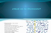 Osmosis Inversa1[1]
