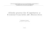 Zoologia - Guia Captura y Conservacion de Insectos (c)(2)