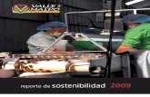 RSE - Reporte de Sustentabilidad de Valle Maipo 2009
