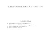 METODOLOGÍA HOSHIN