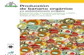 Produccion Banano Organico