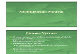 Mobilização Neural [Modo de Compatibilidade]