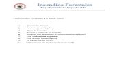 Incendios Forestales - Manual de Formación - Protección Civil