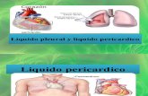 Liquido pleural y pericardico1