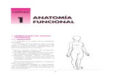 739.0 + anatomia funcional