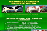 ALIMENTACION  DEL  GANADO  LECHERO