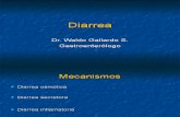 Clase 2 Diarrea Dr Gallardo 1216485767028953 9 Ppt Share)