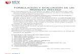 ion y Evaluacion de Un Proyecto Privado Ucv
