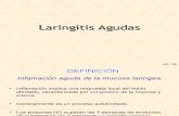 Laringitis Aguda1