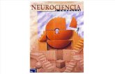 Sistema Nervioso y Terapia Neural